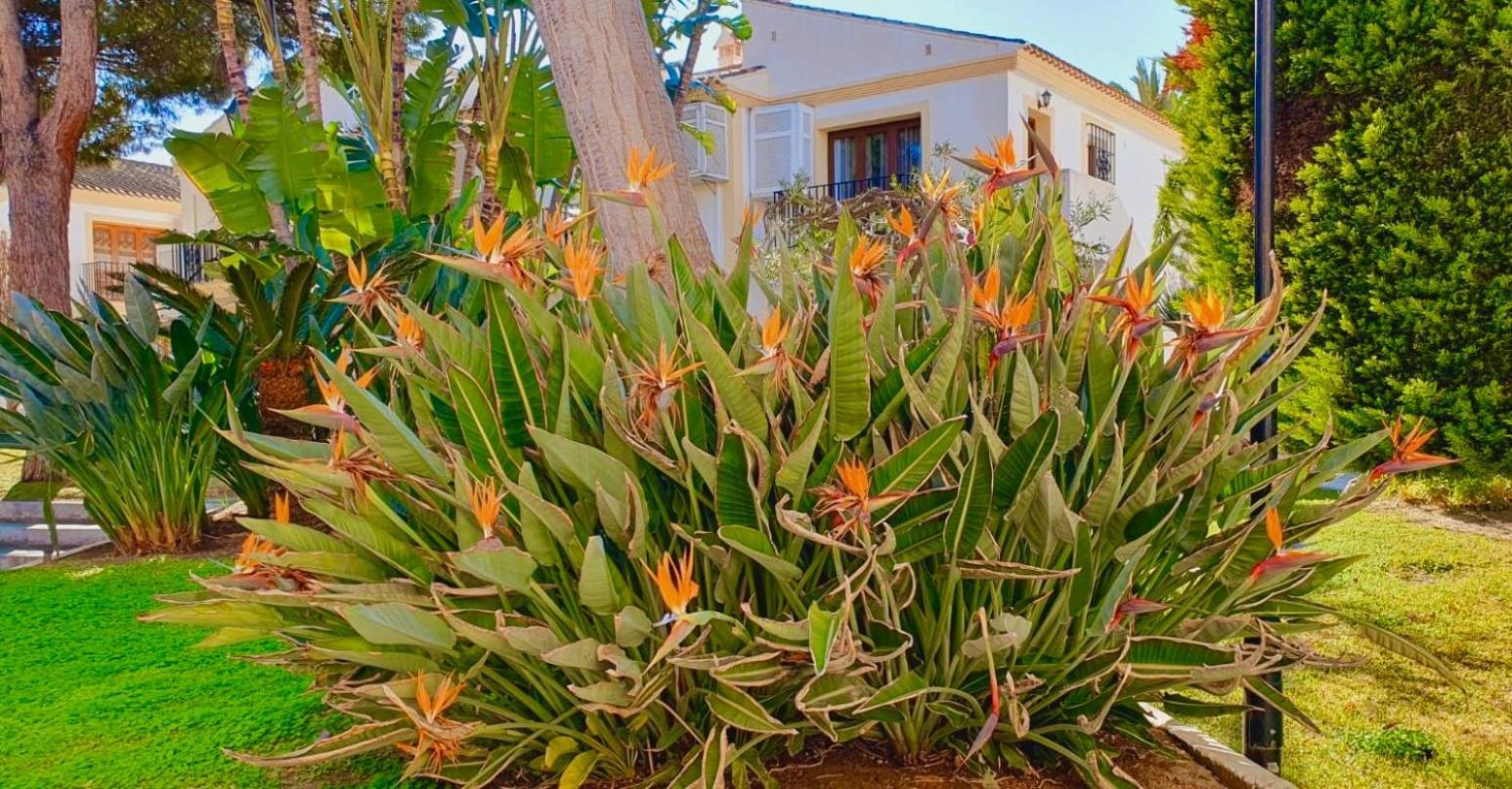Casa Veranera Vera Costa Playas de Vera Exterior foto